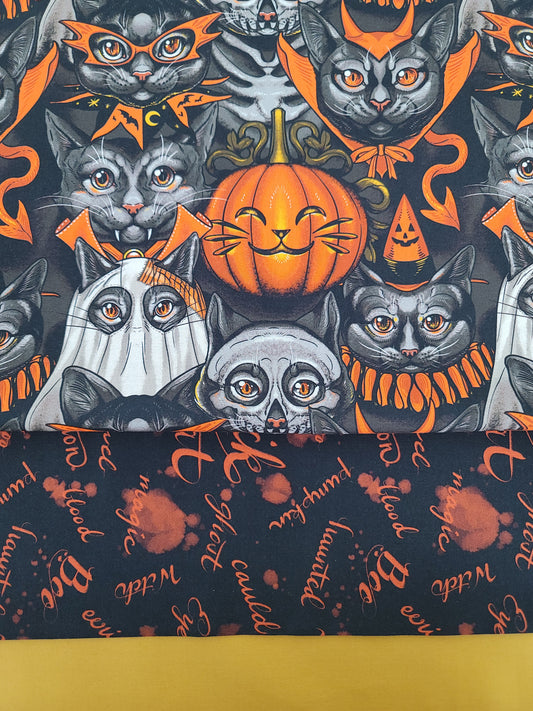 Boo Kitty