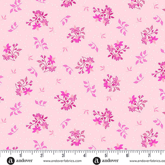 Pink Echinacea - Memories Unfold