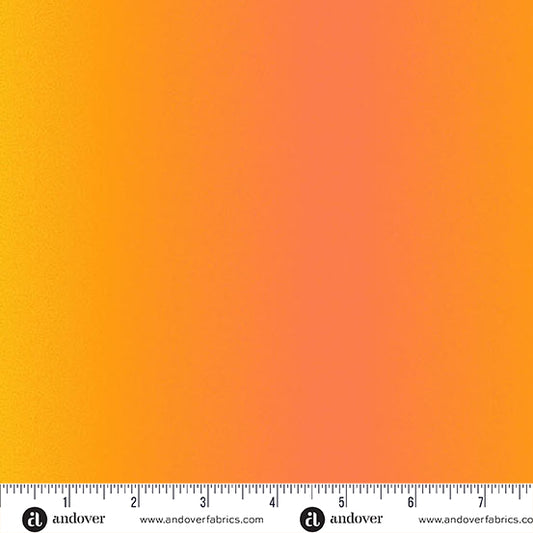 Jelly Bean – Candy Couture