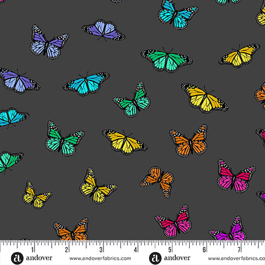 Night Butterfly Rainbow - Color Wheel