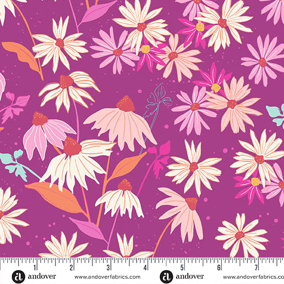 Fandango Echinacea - Petals & Stitches