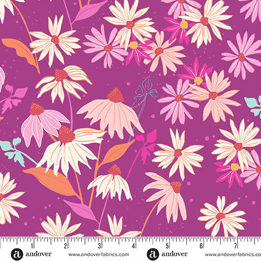Fandango Echinacea - Petals & Stitches