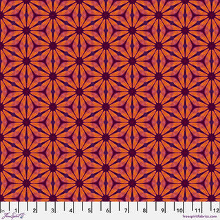 Gerbera Flame - Kaleidoscope