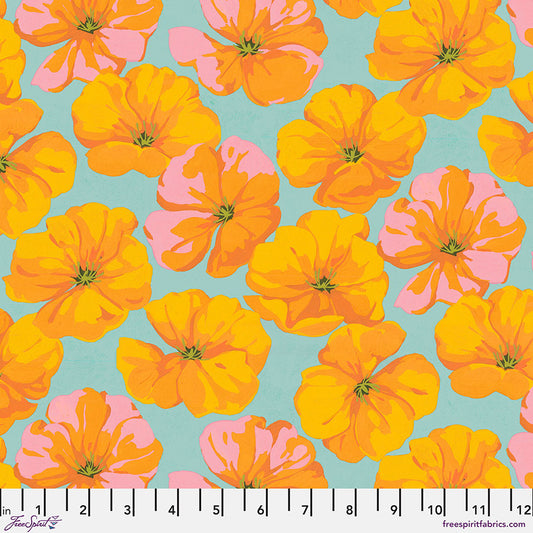 California Poppy Orange - Nation of Flowers