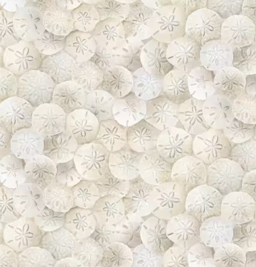Sand Dollars - Timeless Treasure Ocean